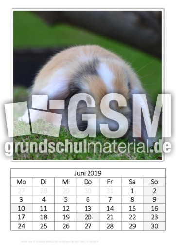 Juni_Kaninchen_1.pdf